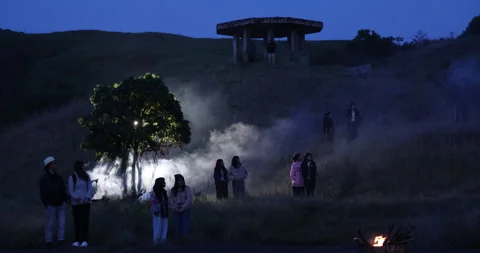 Silhouette of people under a tree Видео 335434490