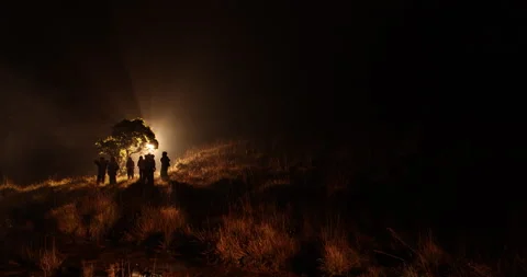 Silhouette of people under a tree 库存影片 335476622