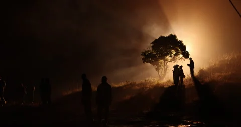 Silhouette of people under a tree Видео 335498349