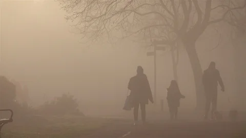 Silhouette people walking in fog Stock Footage 124532753