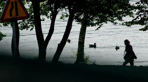 Silhouette people walking by the river in different angles  Stock Footage 45044589