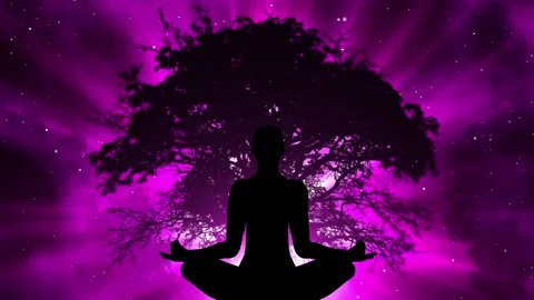 Silhouette of person meditating under a tree with light background effect Video stock 153593653