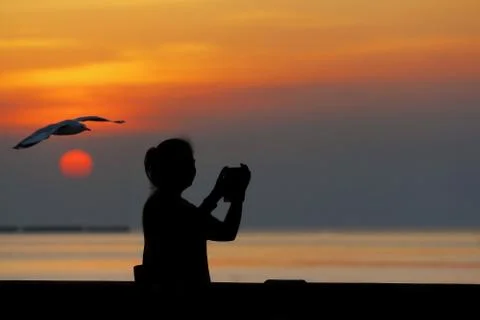 Silhouette Stock Photos