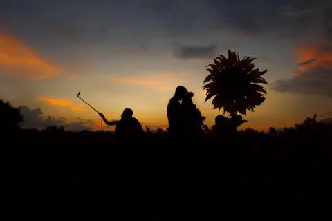 Silhouette Stock Photos