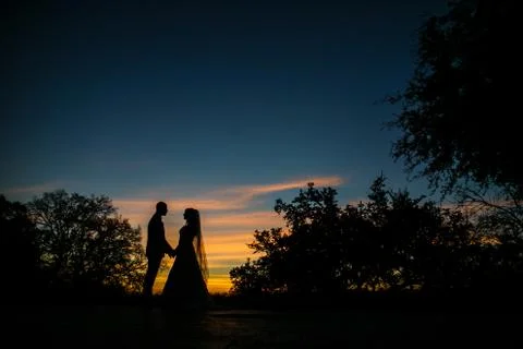 Silhouette Stock Photos