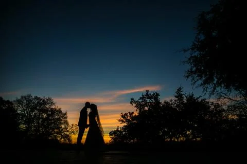 Silhouette Stock Photos