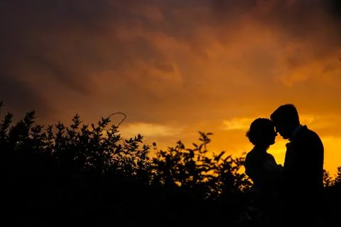 Silhouette Stock Photos