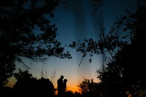 Silhouette Stock Photos