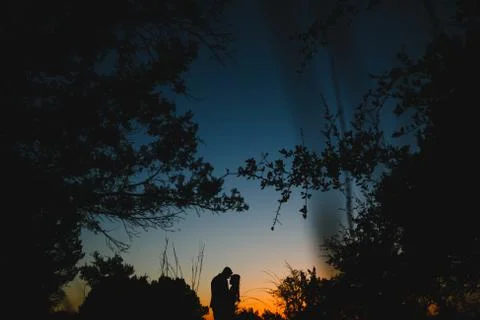 Silhouette Stock Photos