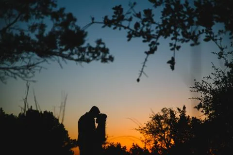 Silhouette Stock Photos