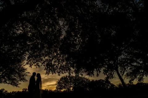Silhouette Stock Photos