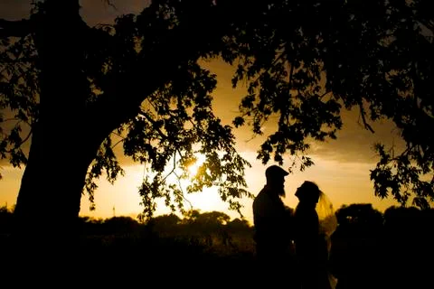Silhouette Stock Photos