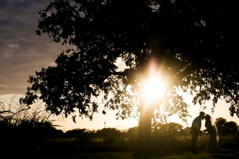 Silhouette Stock Photos