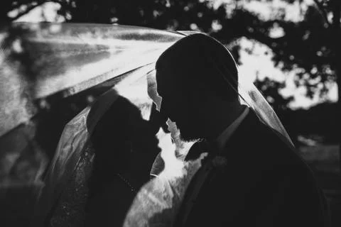Silhouette Stock Photos