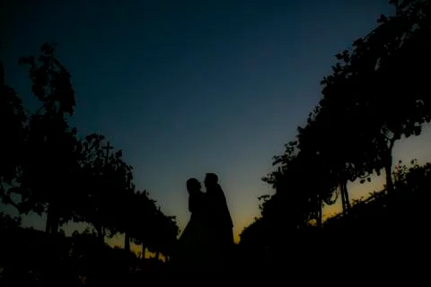 Silhouette Stock Photos