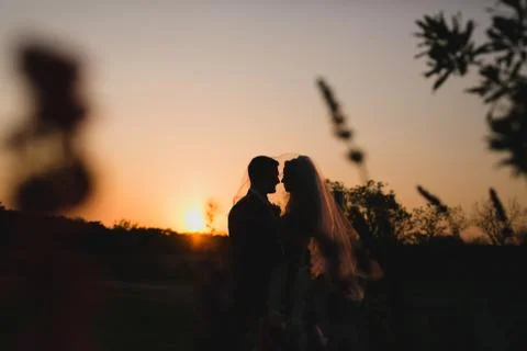 Silhouette Stock Photos