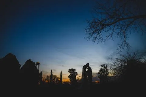 Silhouette Stock Photos