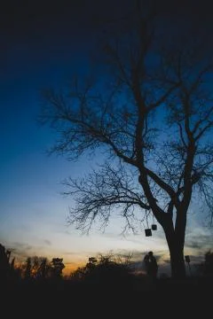 Silhouette Stock Photos