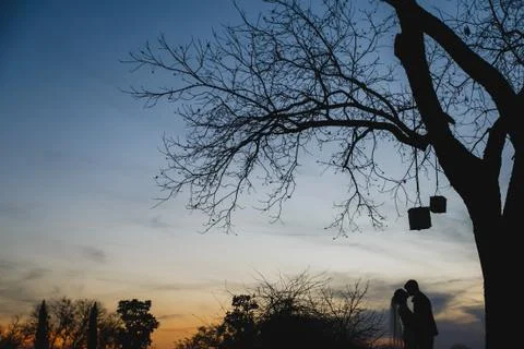 Silhouette Stock Photos