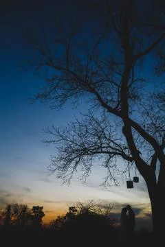 Silhouette Stock Photos