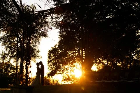 Silhouette Stock Photos