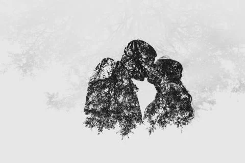 Silhouette Stock Photos