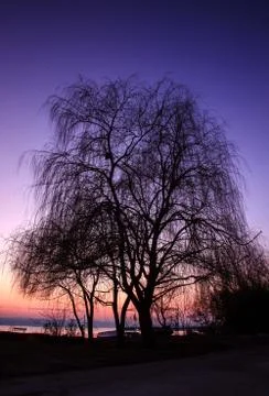 Silhouette Stock Photos