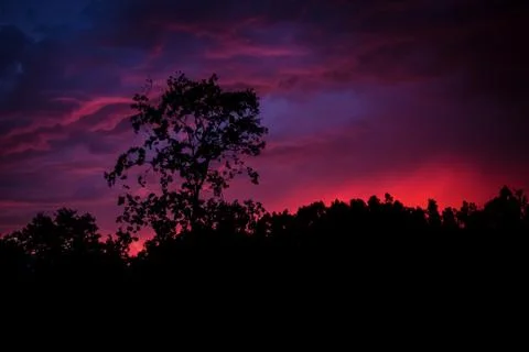 Silhouette Stock Photos