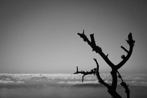 Silhouette 스톡 사진