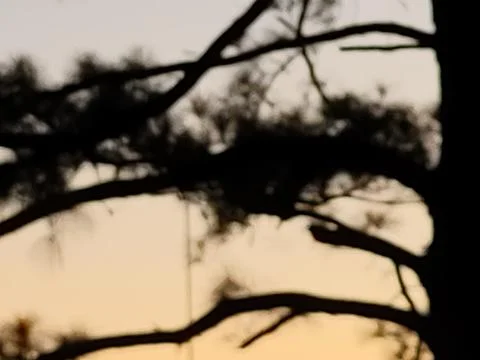 Silhouette 스톡 사진