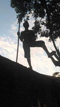 Silhouette Stock-Fotos