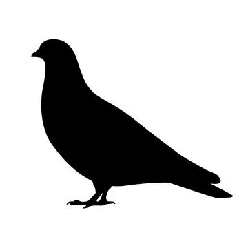 Silhouette of a pigeon Stock Illustration