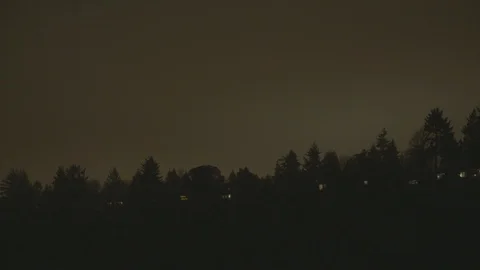 Silhouette of pine forrest at nIght Stock Footage 127120116