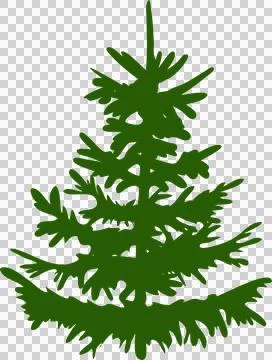 Silhouette pine tree isolated on transparent, png. illustration in realisti.. Stock Illustration