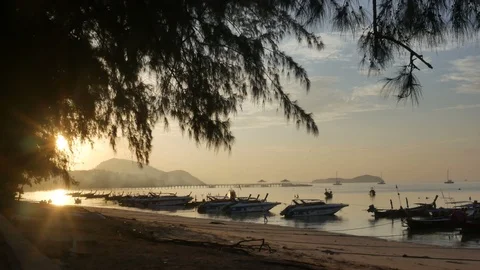 Silhouette pine tree at sand sea beach , long tail boat and speedboat parking Video stock 126720563