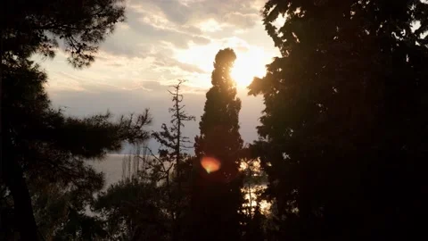 Silhouette of pine trees against beautiful sunset. Video stock 151875982