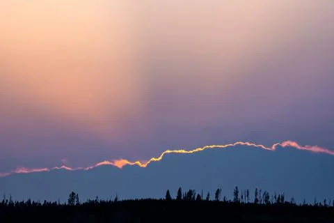Silhouette of Pine Trees With Backlit Clouds and Purple Sky In The Distance 写真素材