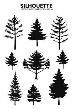 Silhouette Pine Trees Collection Vector Illustration Stock Illustration