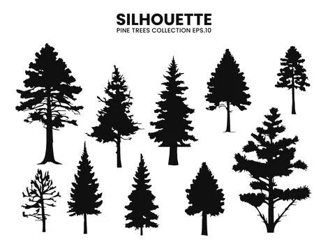 Silhouette Pine Trees Collection  Vector Illustration Stock Illustration