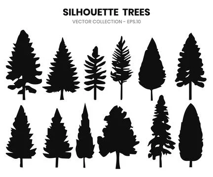 Silhouette pine trees collections. Abstract vector illustration Stock Illustration
