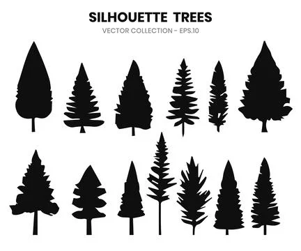 Silhouette pine trees collections. Vector illustration Stock Illustration