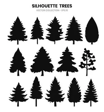 Silhouette pine trees collections. Vector illustration Stock Illustration