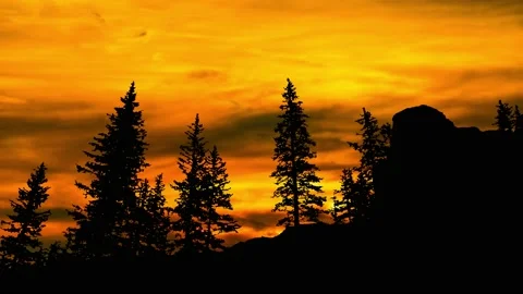 Silhouette of Pine Trees in Mountain Landscape Nature Stock Footage 239916164