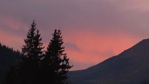 Silhouette of pine trees in the mountains Stock Footage 121922476