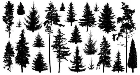 Silhouette of pine trees. Set of forest trees isolated on white background. C Stock Illustration