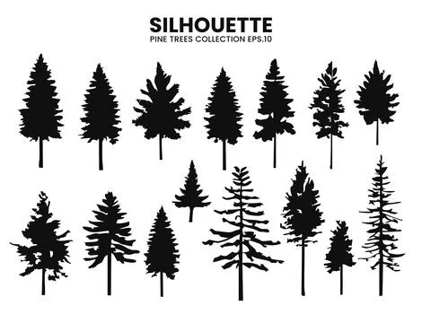 Silhouette pines trees collection .Vector background design Stock Illustration
