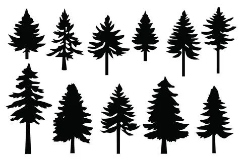 Silhouette pines trees collections. Abstract vector.Vector illustration Stock Illustration