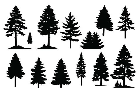Silhouette pines trees collections.Vector illustration Stock Illustration
