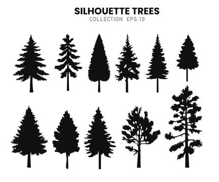 Silhouette pines trees collections.Vector illustration Stock Illustration