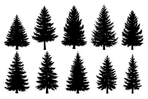 Silhouette pines trees collections.Vector illustration Stock Illustration